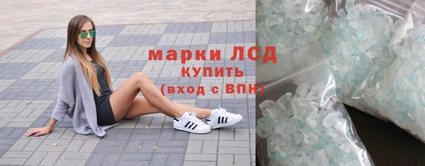 ПСИЛОЦИБИНОВЫЕ ГРИБЫ Богданович