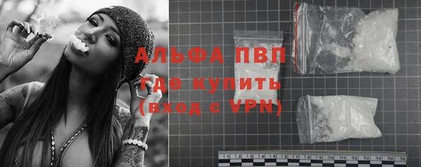 ПСИЛОЦИБИНОВЫЕ ГРИБЫ Богданович