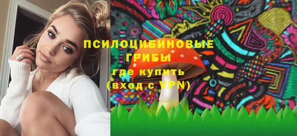 трава Богородицк