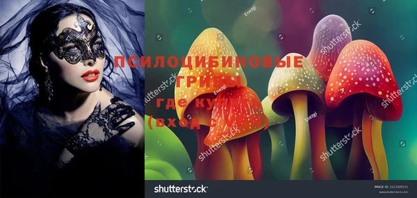 ПСИЛОЦИБИНОВЫЕ ГРИБЫ Богданович