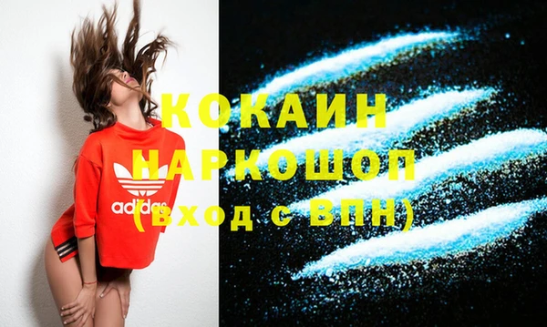 ПСИЛОЦИБИНОВЫЕ ГРИБЫ Богданович