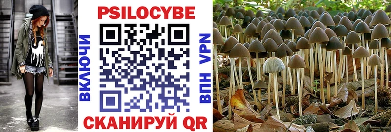 Галлюциногенные грибы MAGIC MUSHROOMS mega ТОР Кочубеевское